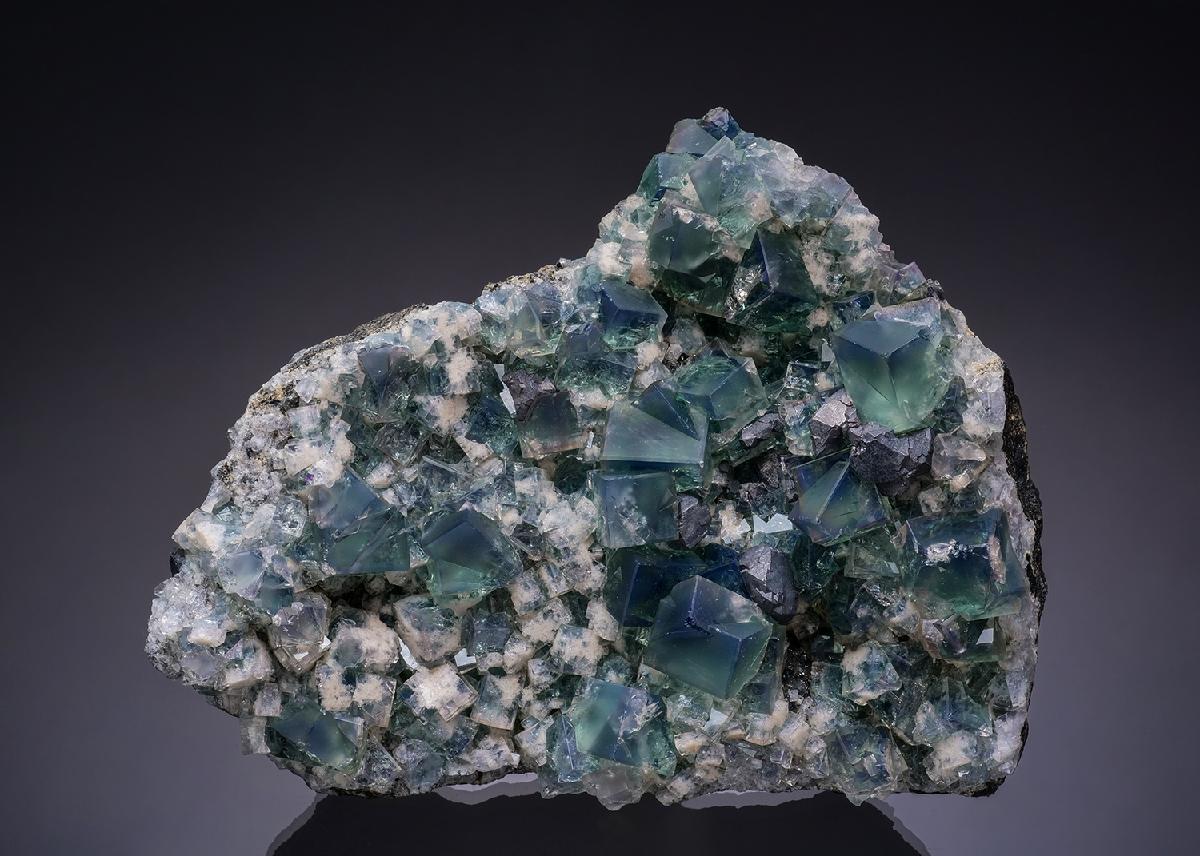 CC48398 specimen image