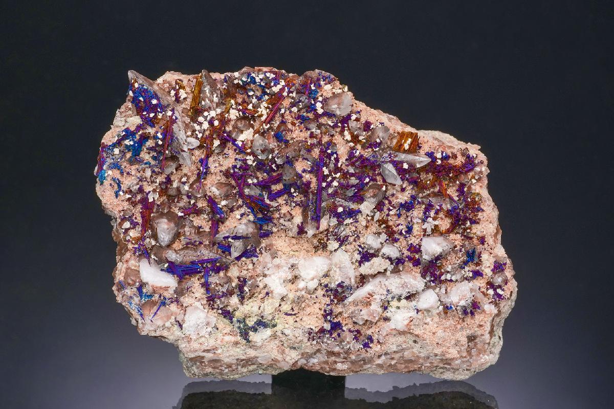 CC48434 specimen image