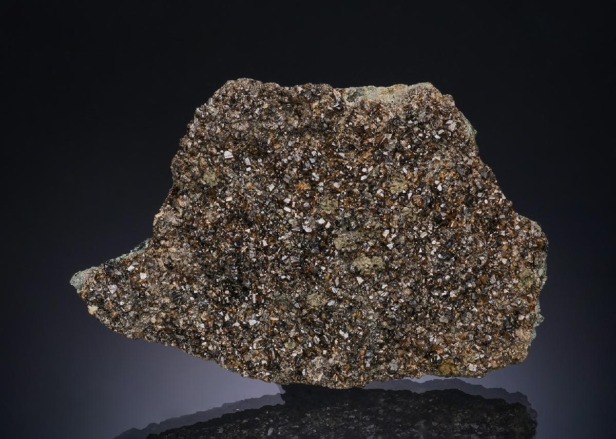 CC48440 specimen image
