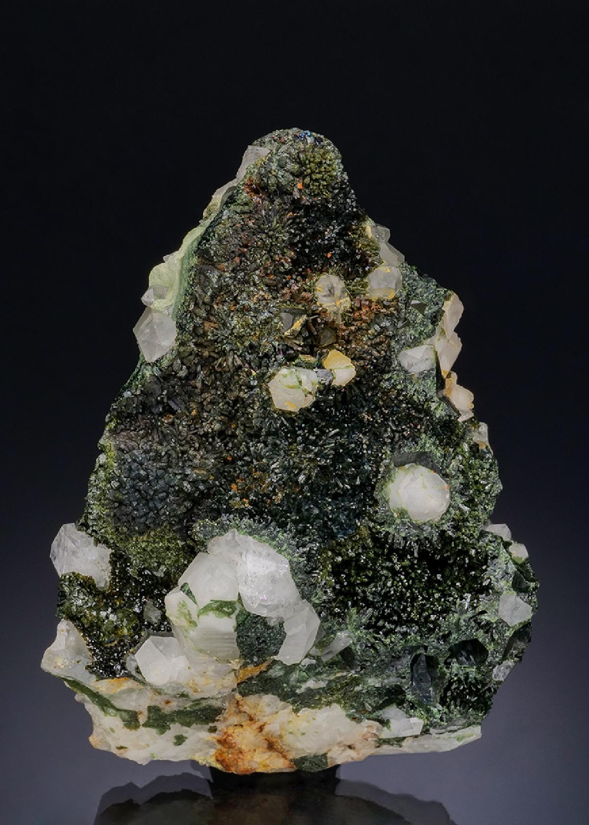 CC48442 specimen image