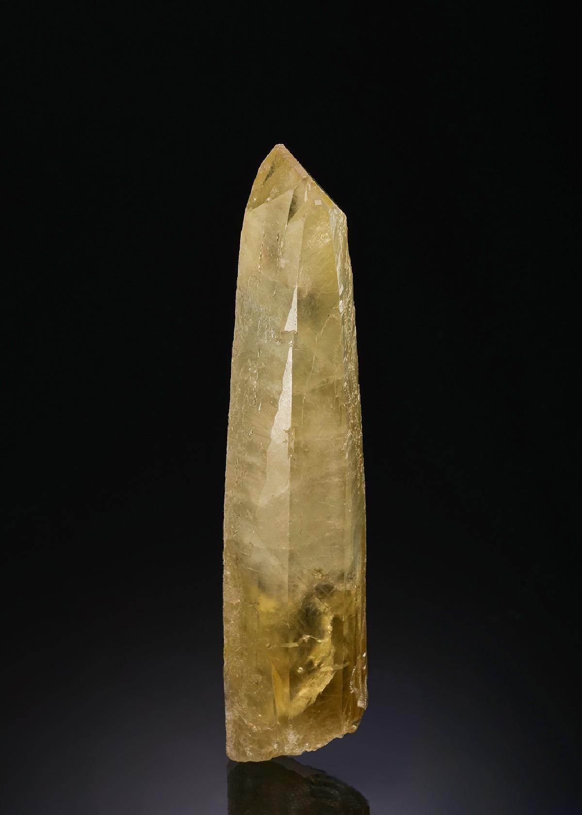 CC48450 specimen image
