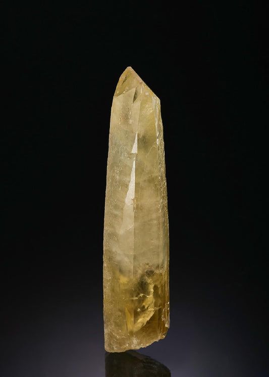 CC48450 specimen image