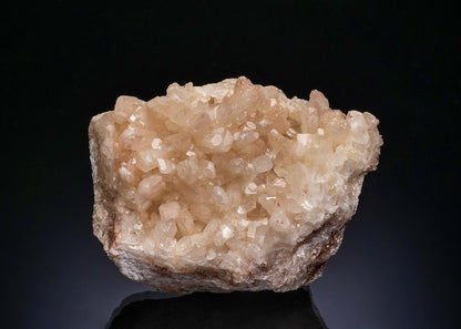 CC48462 specimen image