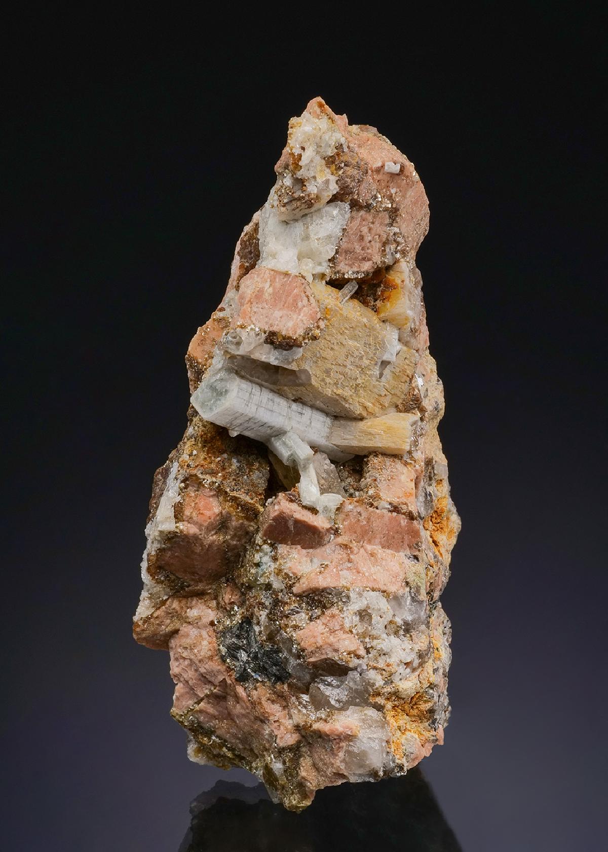 CC48468 specimen image