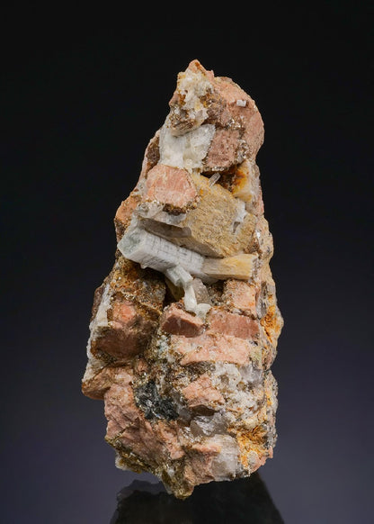 CC48468 specimen image