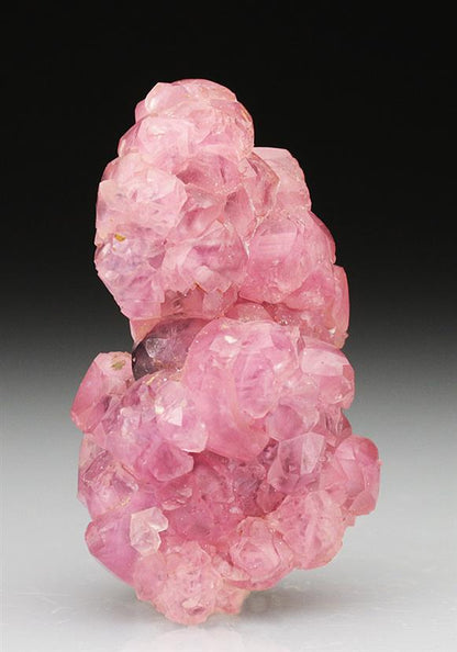 CC4849 specimen image