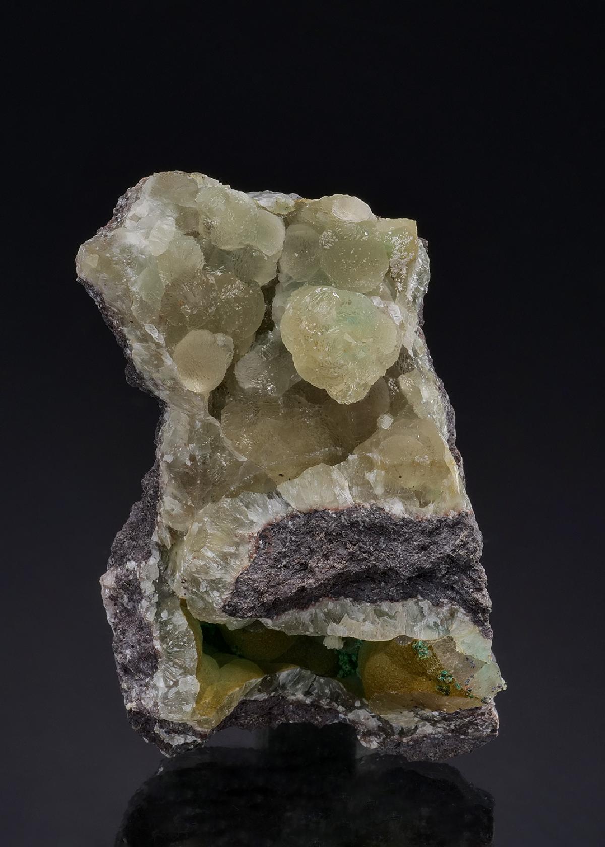 CC48544 specimen image
