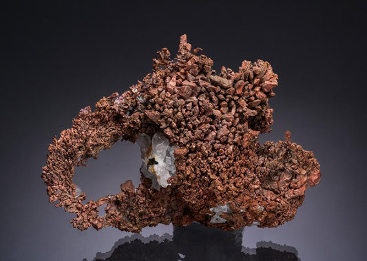CC48566 specimen image