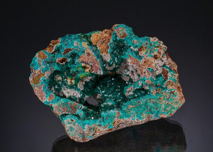CC48572 specimen image