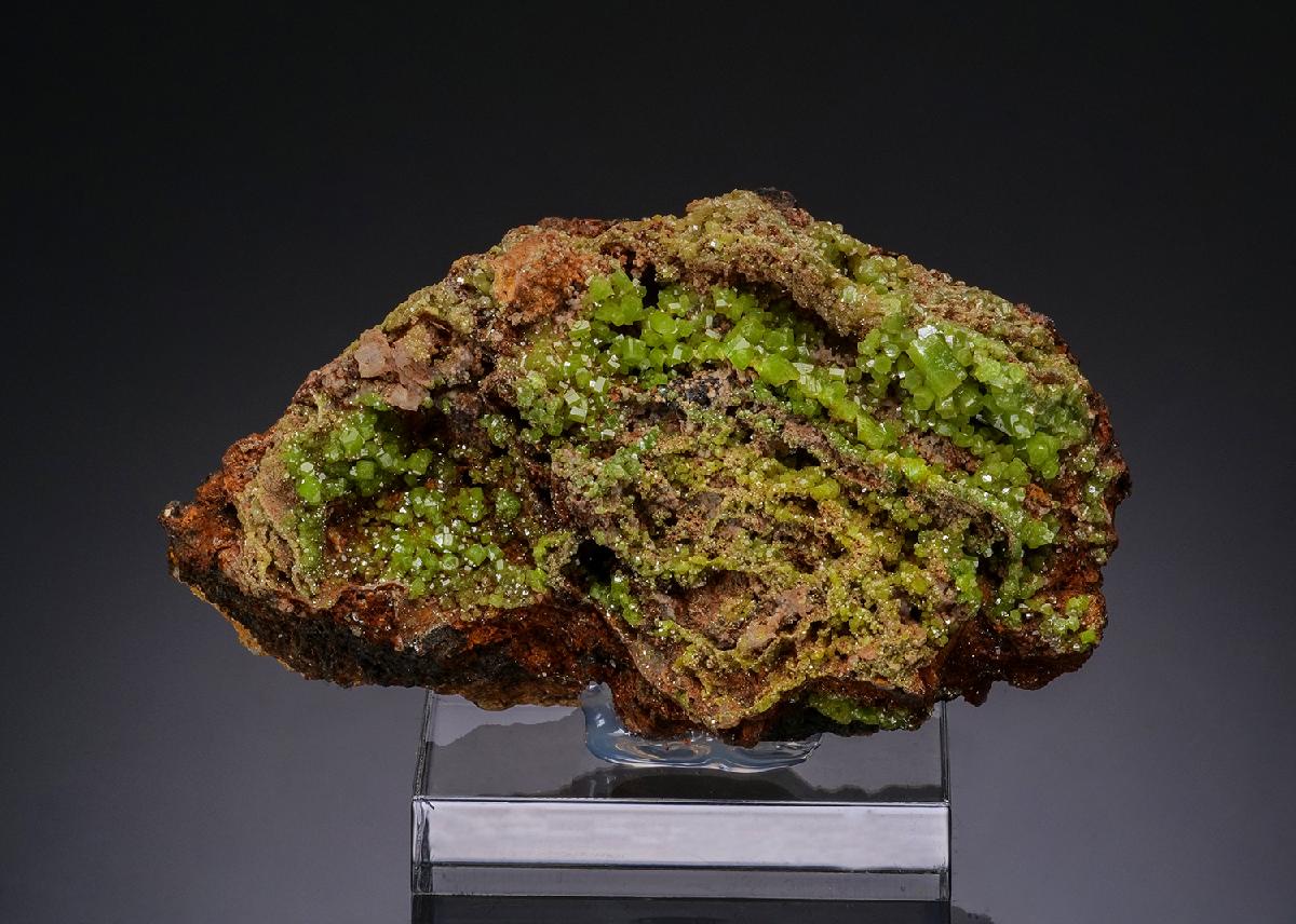 CC48596 specimen image