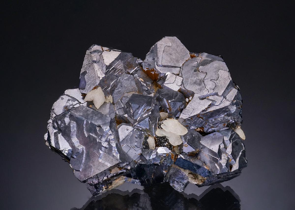 CC48608 specimen image