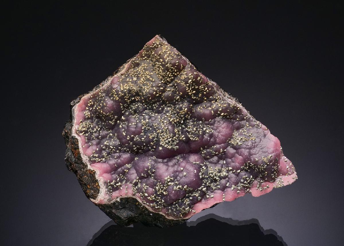CC48612 specimen image