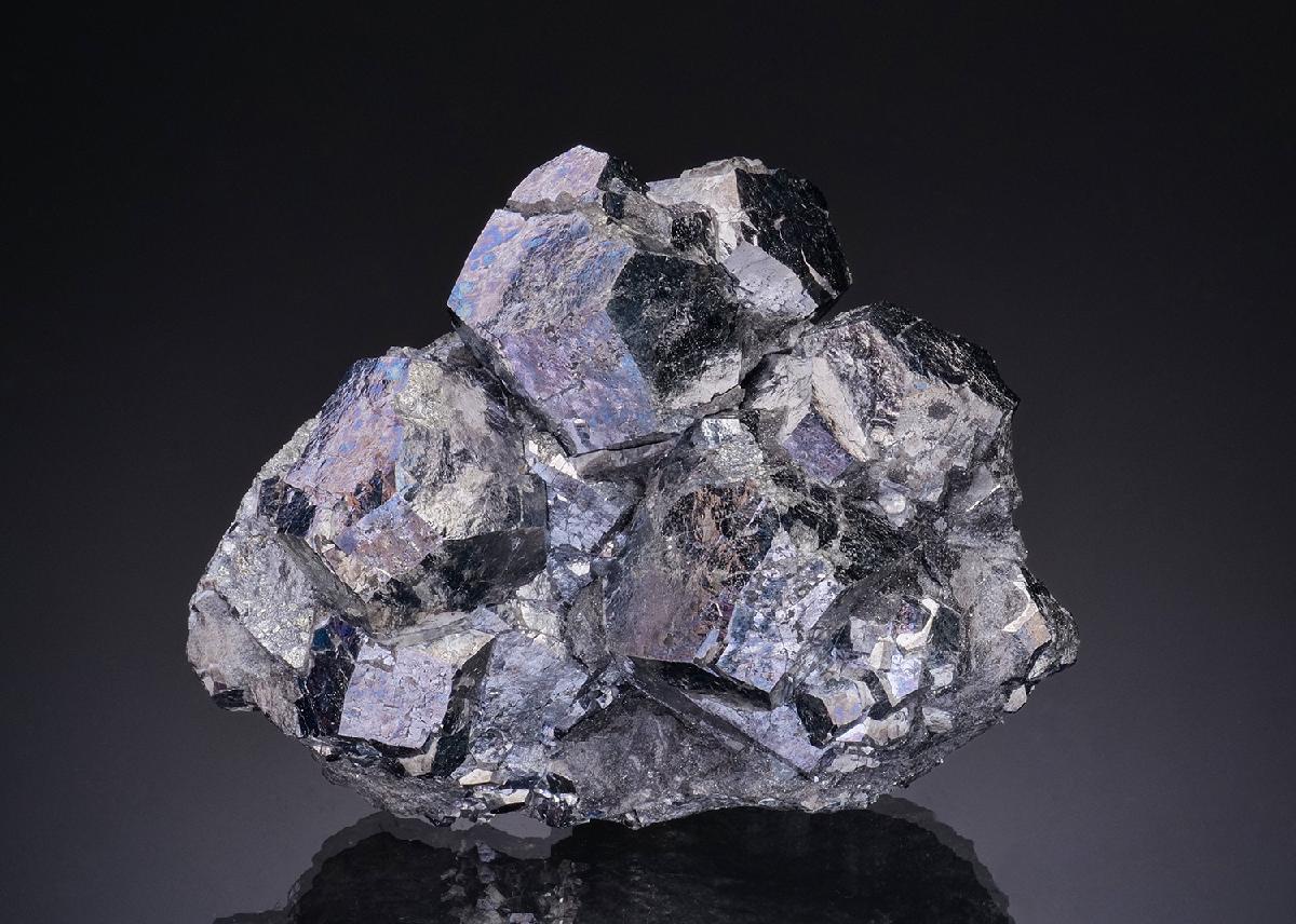 CC48616 specimen image