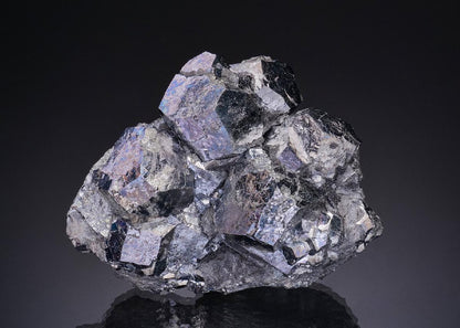 CC48616 specimen image
