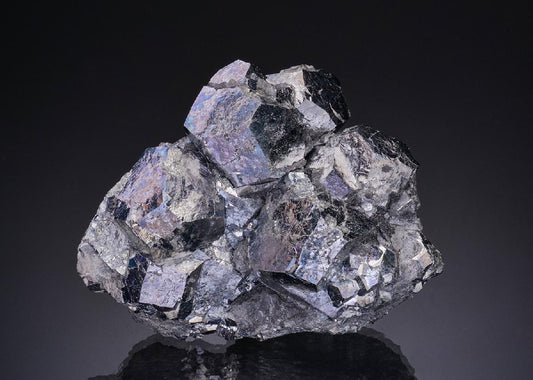 CC48616 specimen image