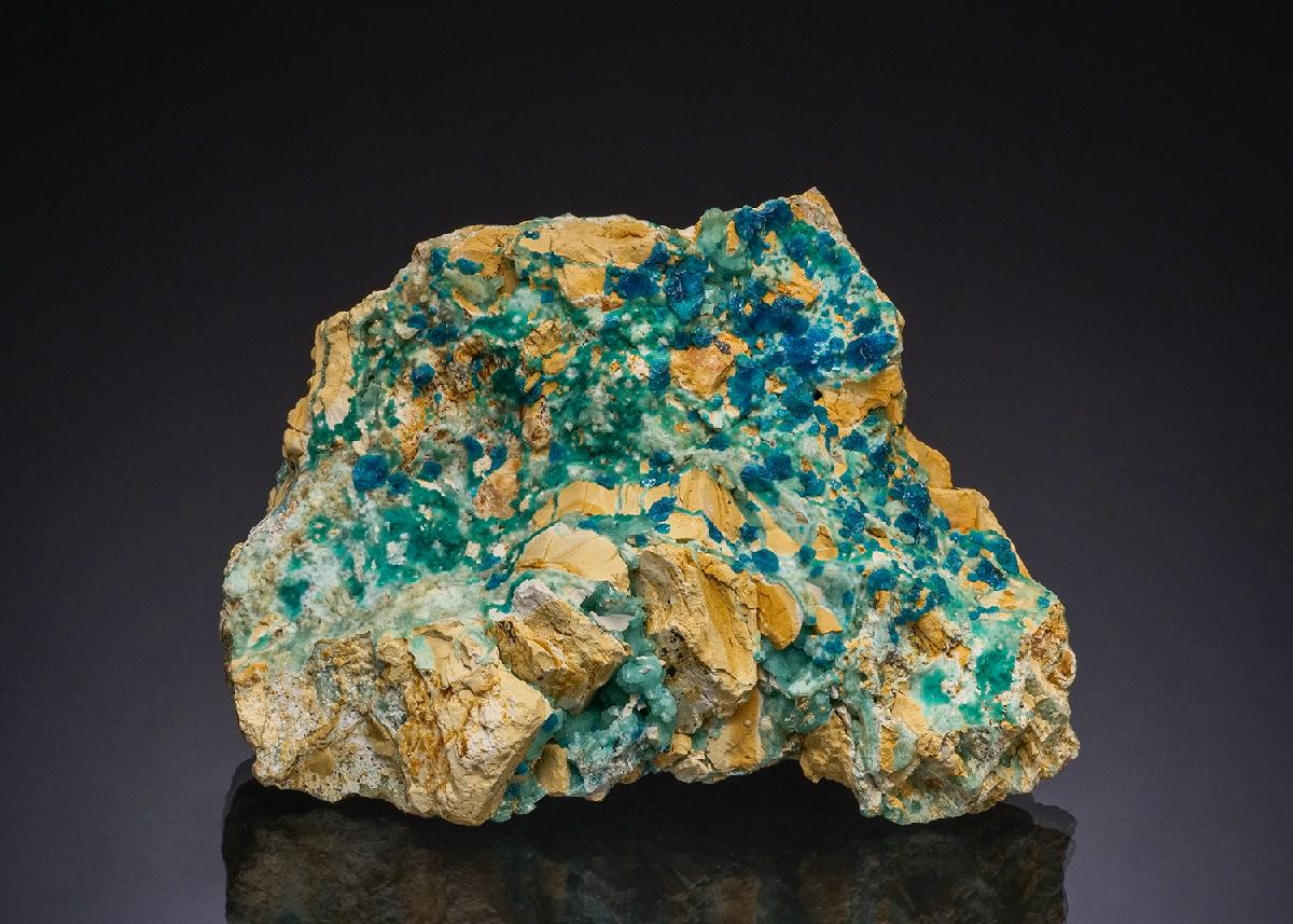CC48626 specimen image