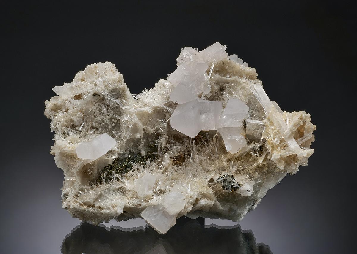 CC48638 specimen image