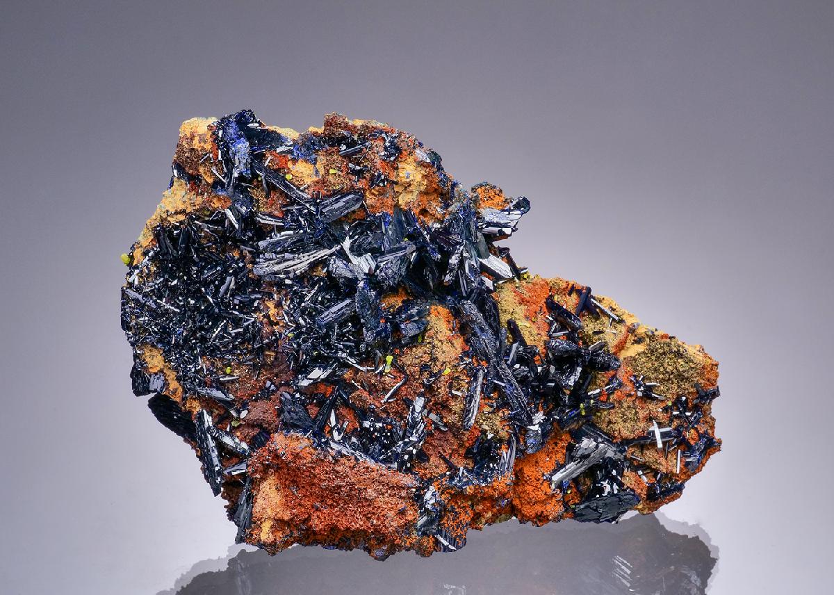 CC48642 specimen image