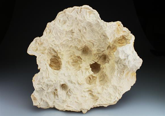 CC4866 specimen image