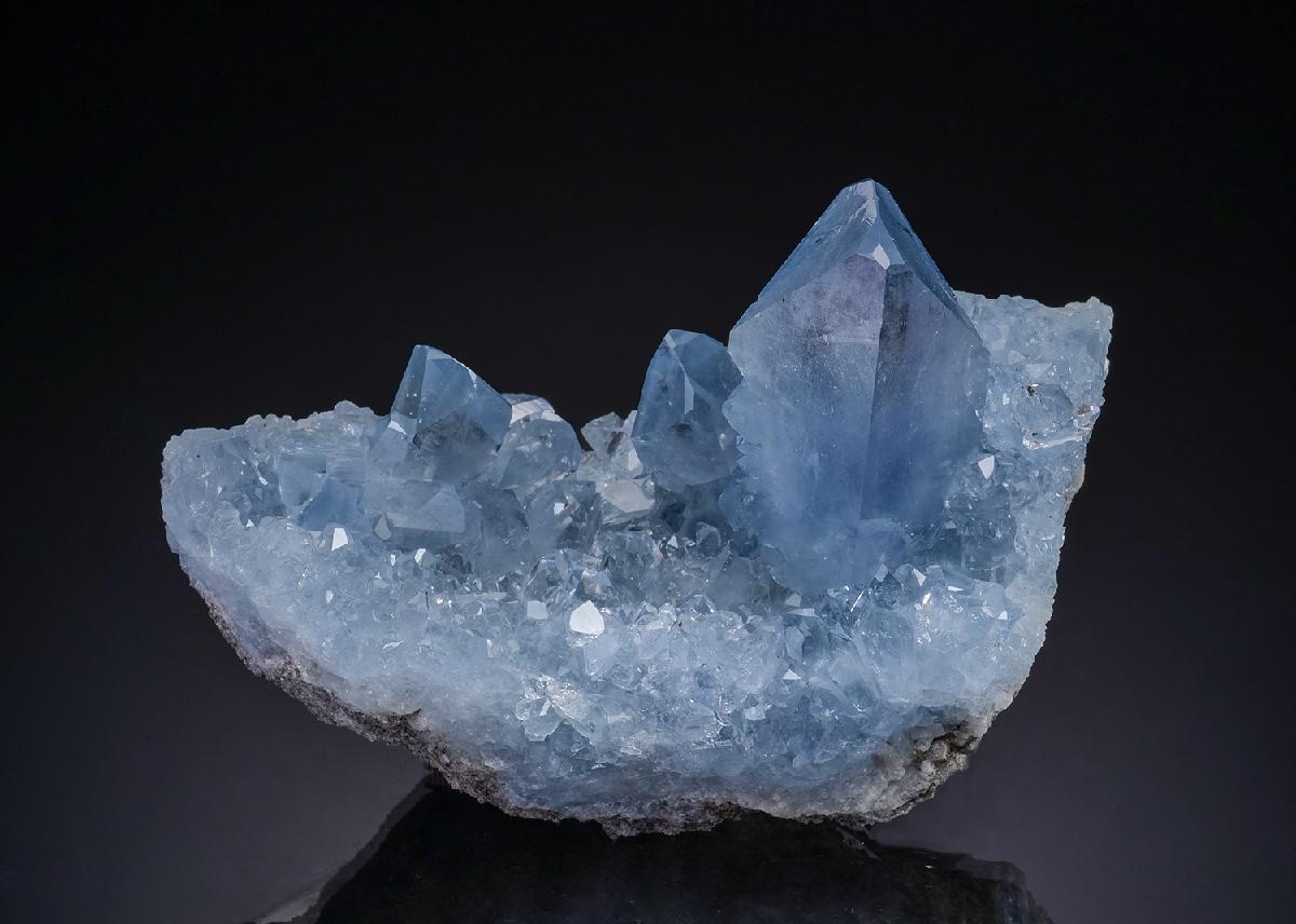 CC48662 specimen image