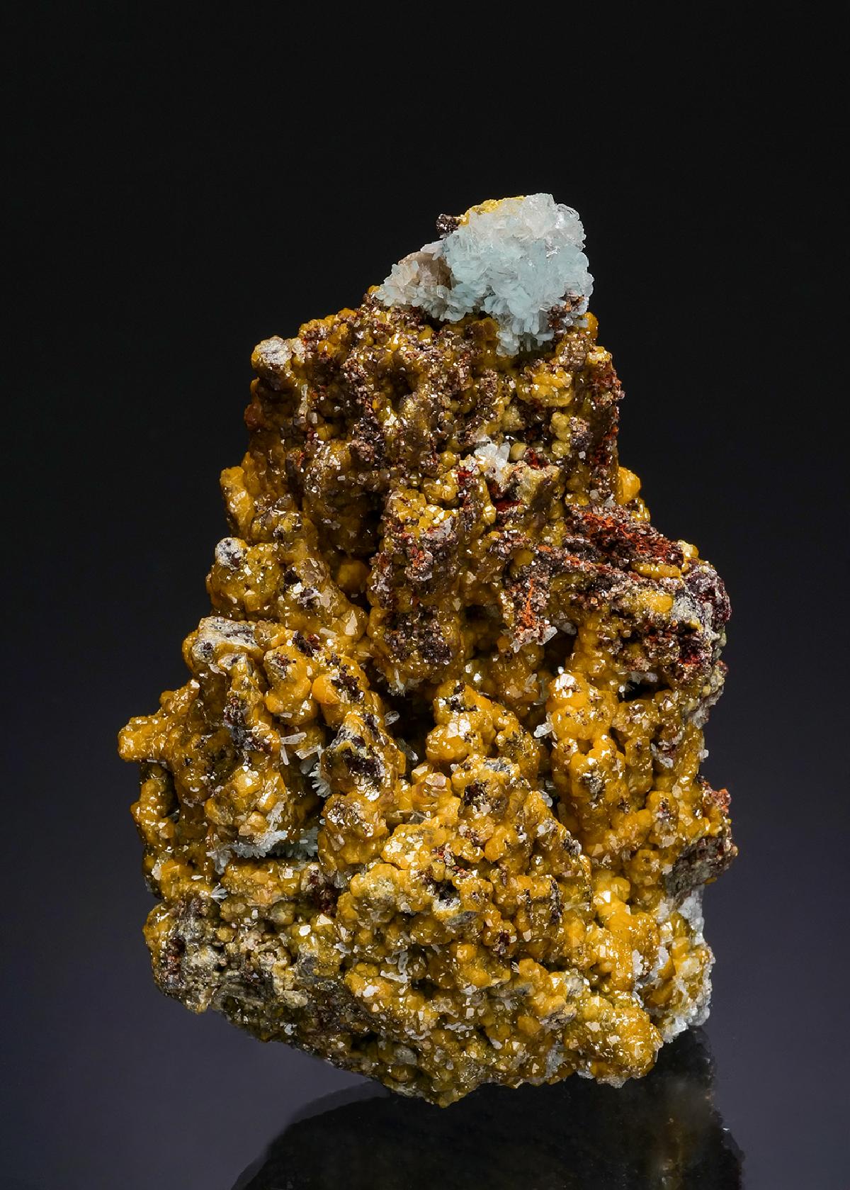 CC48676 specimen image