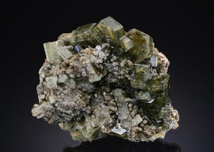 CC48708 specimen image