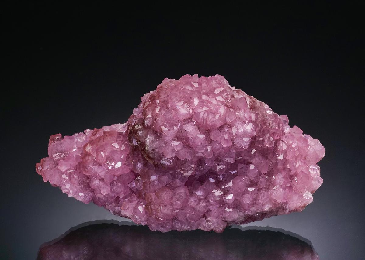 CC48716 specimen image
