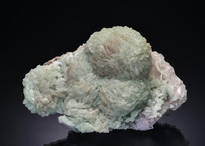 CC48720 specimen image