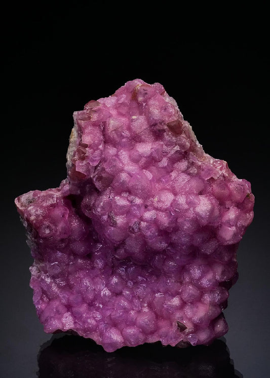 CC48724 specimen image