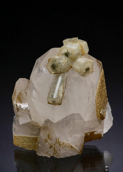 CC48736 specimen image