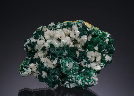 CC48740 specimen image