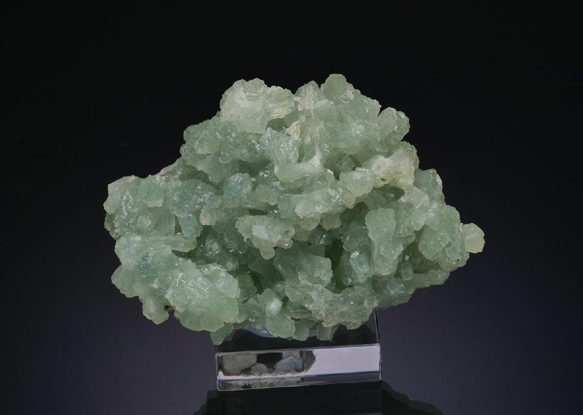 CC48744 specimen image