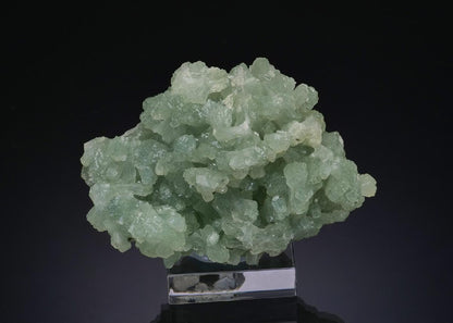 CC48744 specimen image