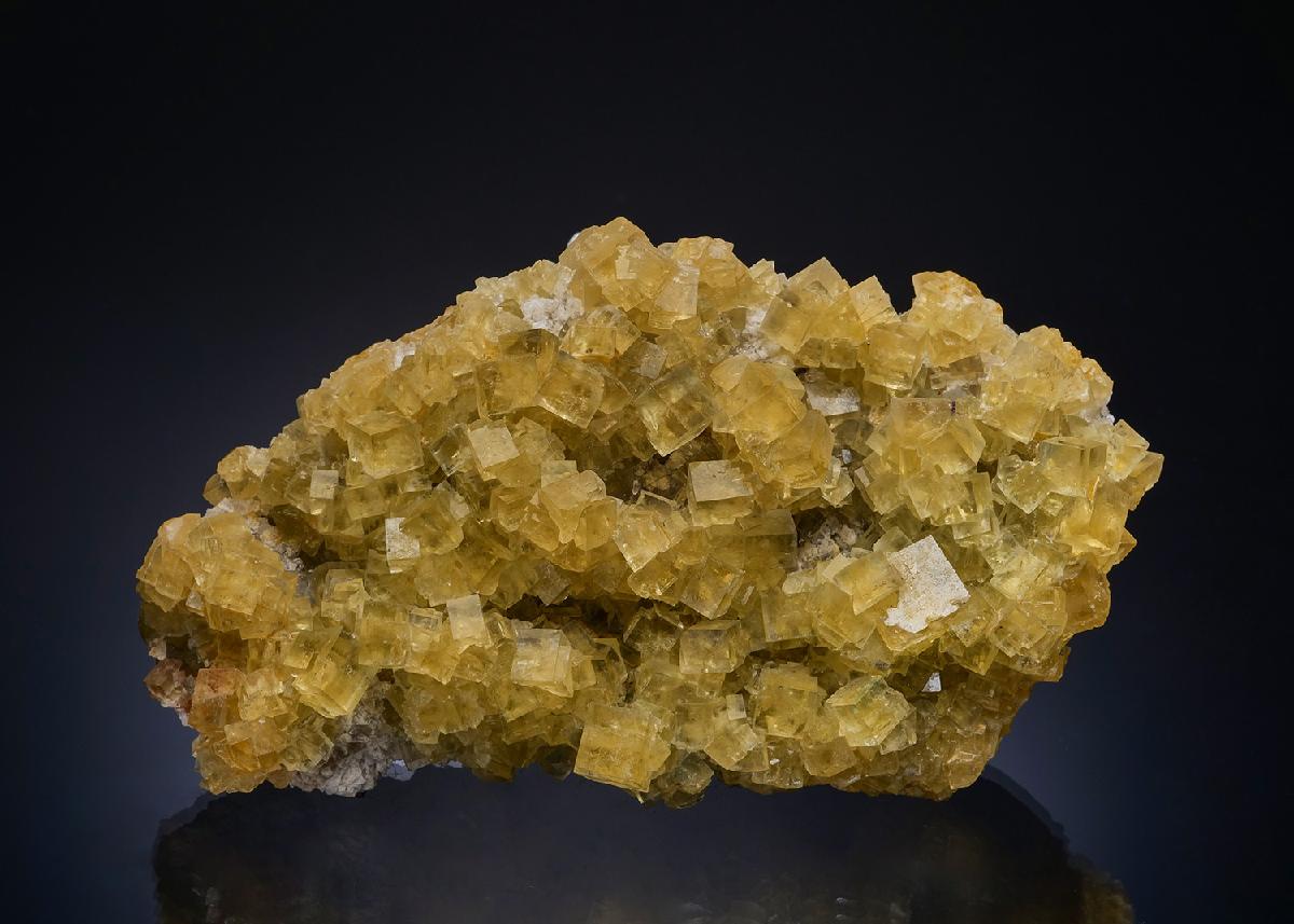 CC48756 specimen image