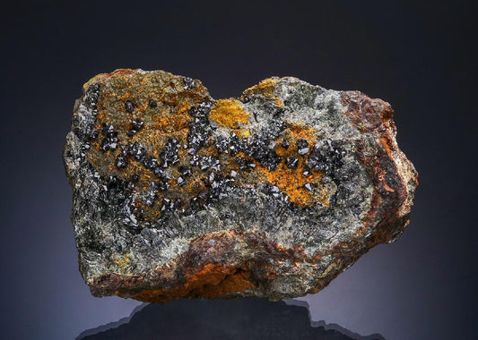 CC48760 specimen image