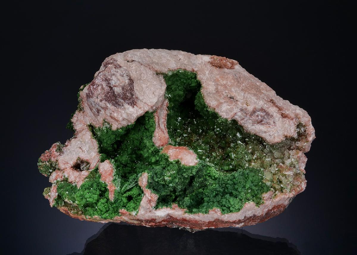 CC48768 specimen image