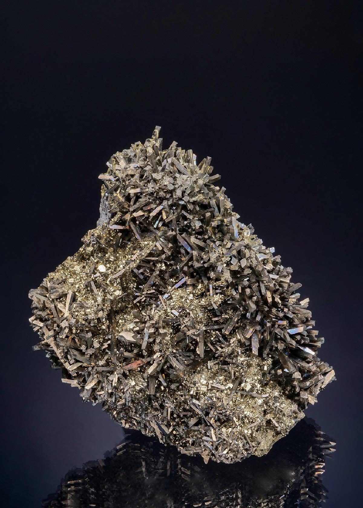 CC48776 specimen image