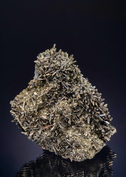 CC48776 specimen image