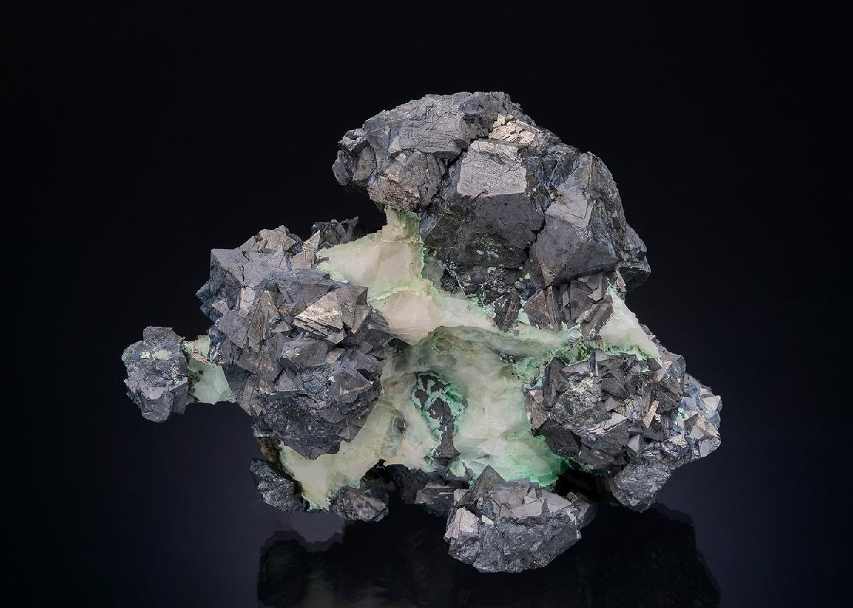 CC48780 specimen image
