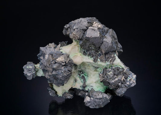 CC48780 specimen image
