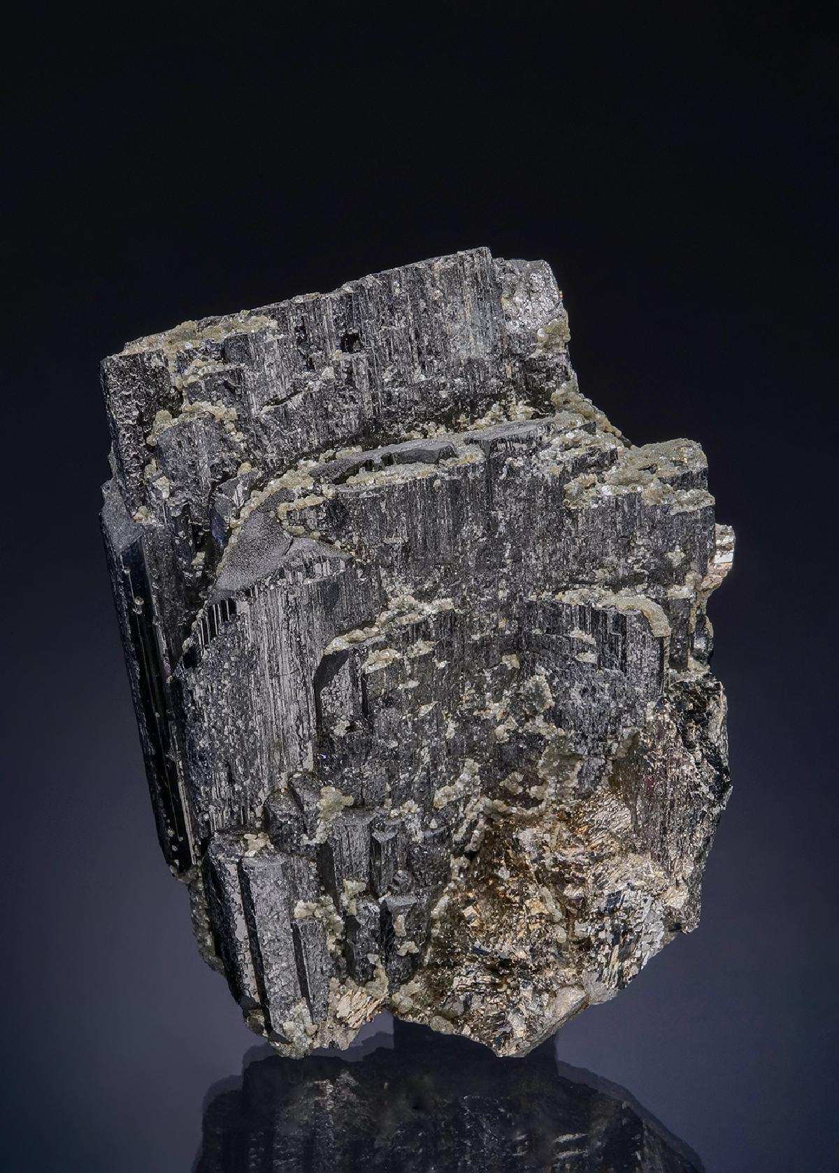 CC48784 specimen image