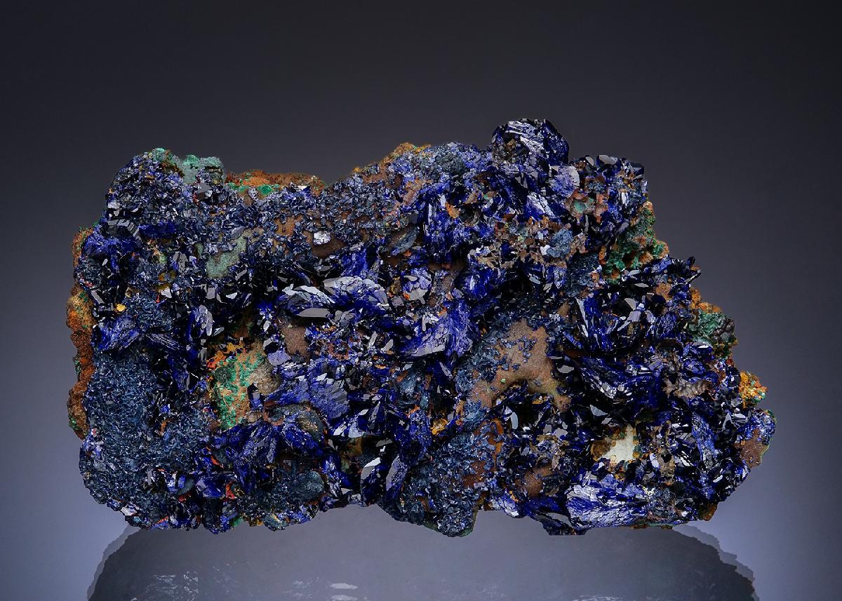 CC48792 specimen image