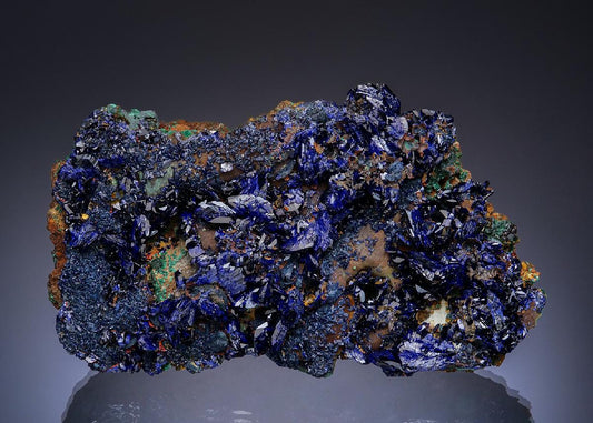CC48792 specimen image