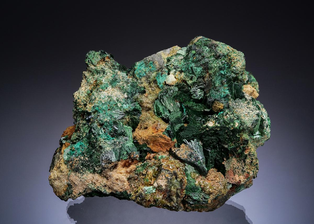 CC48796 specimen image