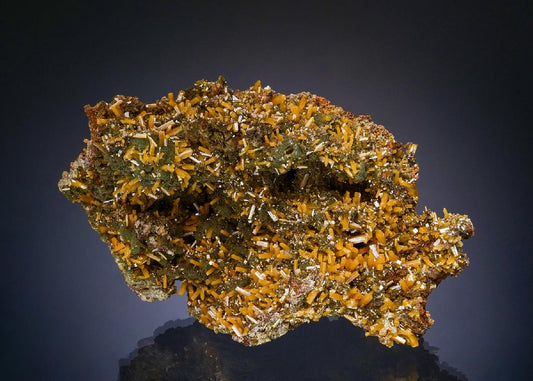 CC48832 specimen image