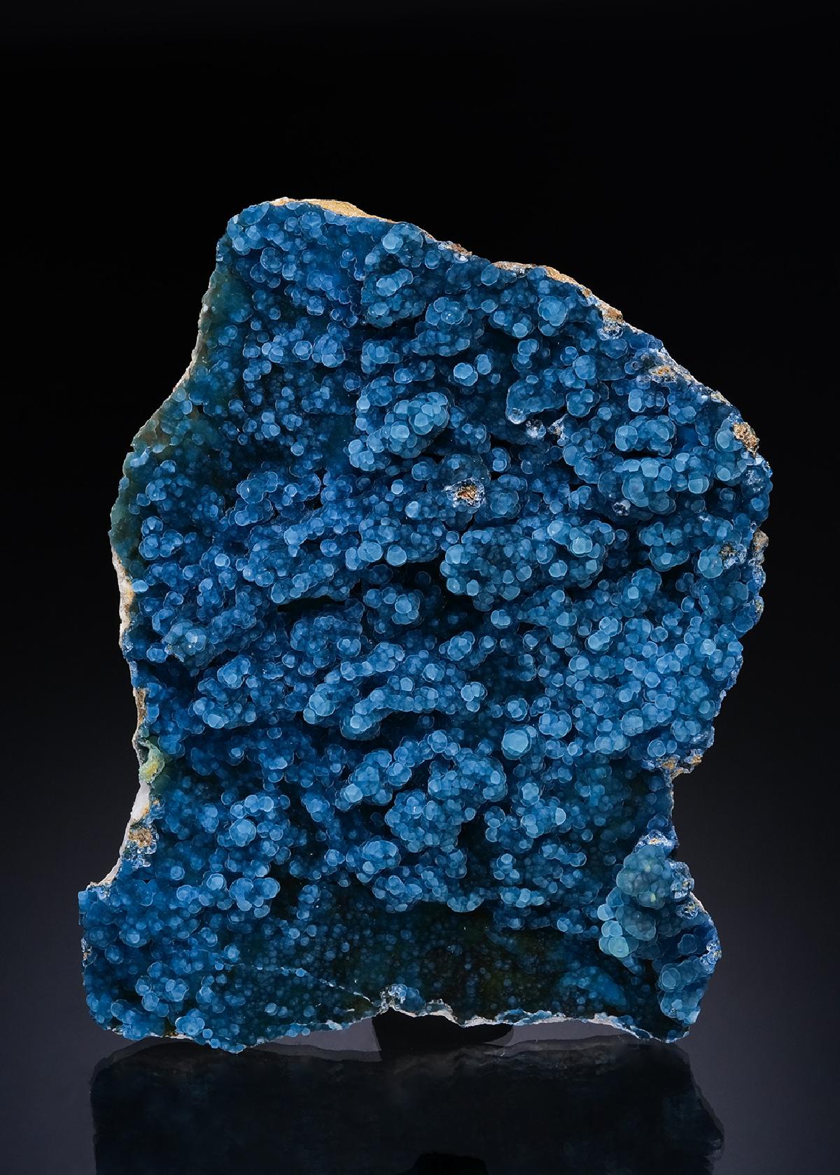 CC48872 specimen image