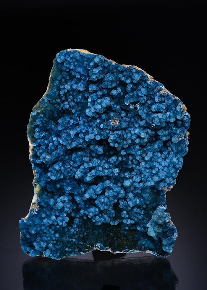 CC48872 specimen image