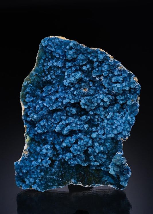 CC48872 specimen image