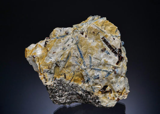 CC48876 specimen image
