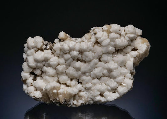 CC48880 specimen image